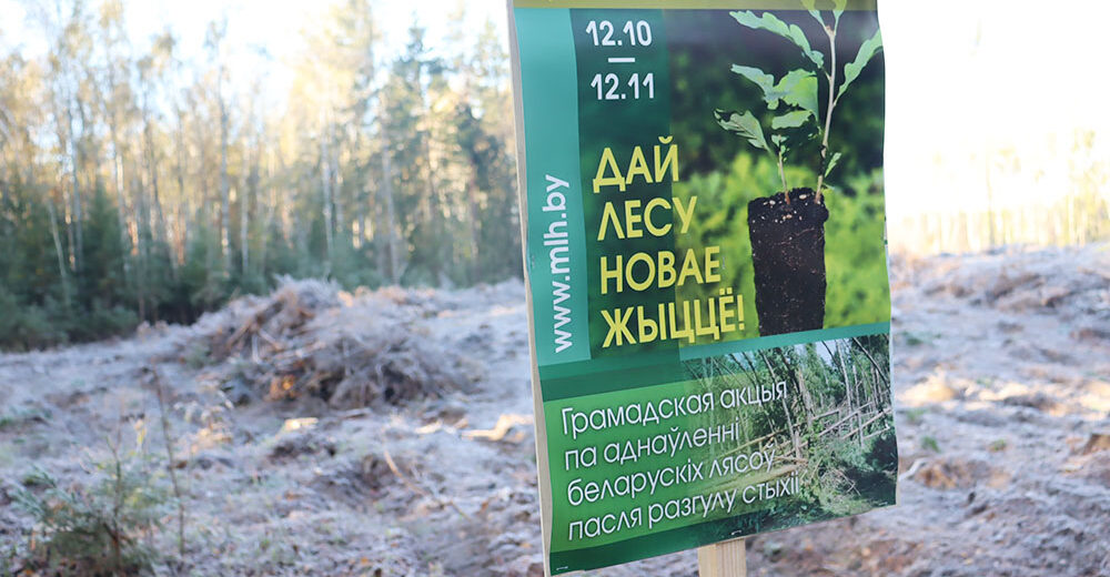 “Дай лесу новае жыццё!”